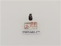 藏品(鞘翅目(2))的圖片